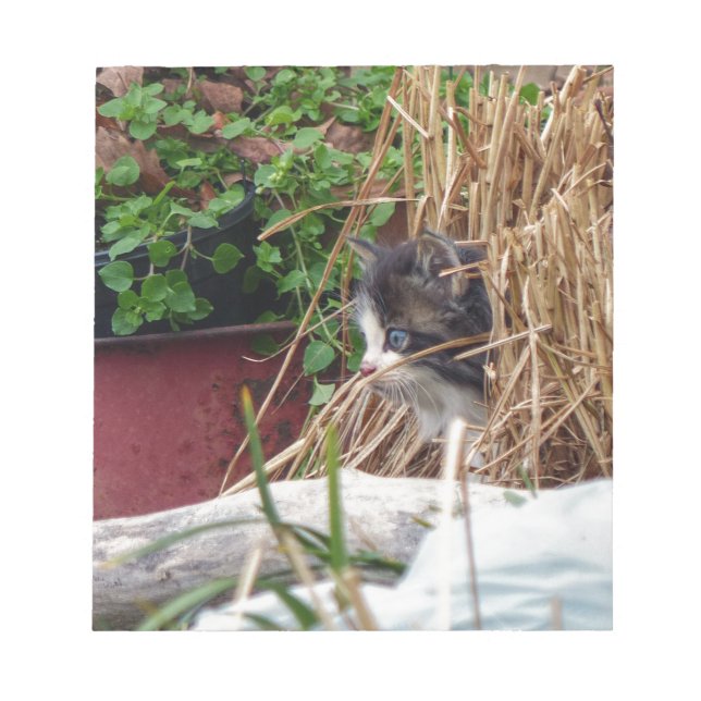 Bloc-note Peek-a-Boo (Devant)