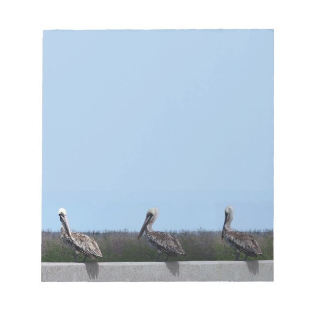 Bloc-note Pélicans (Devant)