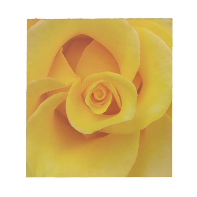 Bloc-note Pétales romantiques de rose jaune (Devant)