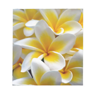 Bloc-note Photo de fleur de Plumeria de Frangipani
