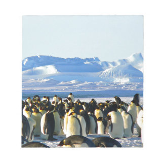 Bloc-note Pingouins empereurs