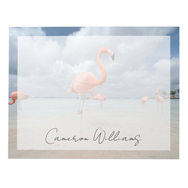 Bloc-note Plages tropicales | Flamants roses Beach, Aruba (Devant)