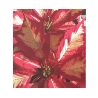 Bloc-note Poinsettia rose