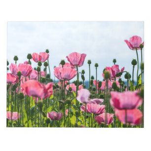 Bloc-note Poppies roses