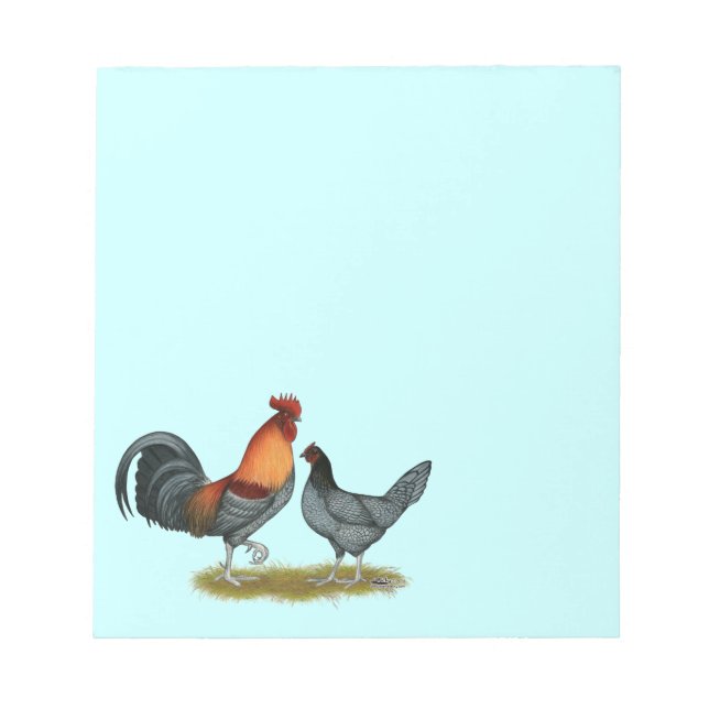 Bloc-note Poule bleue du Delaware (Devant)