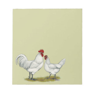 Bloc-note Poulets de pieds bleus