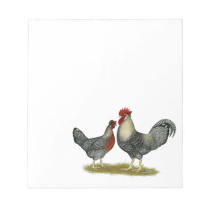 Bloc-note Poulets Legbar à la crème