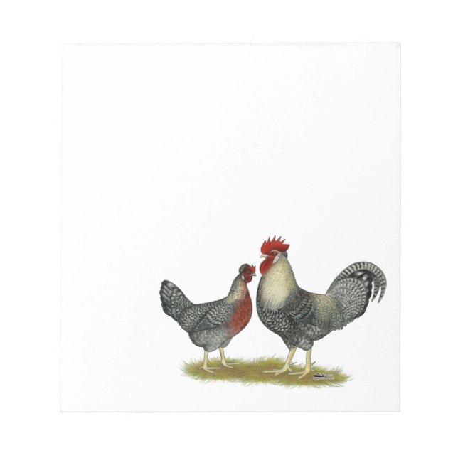 Bloc-note Poulets Legbar à la crème (Devant)