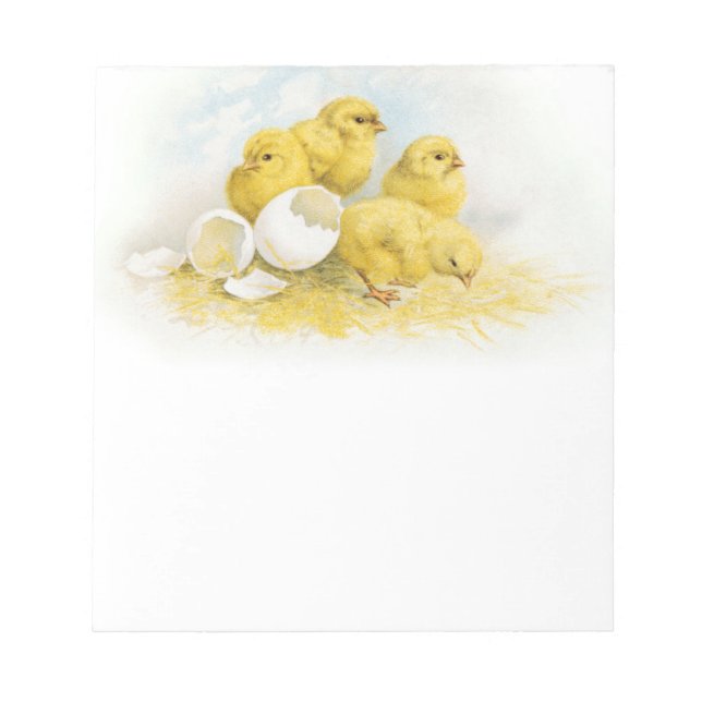 Bloc-note Poulets vintages pour bébés (Devant)