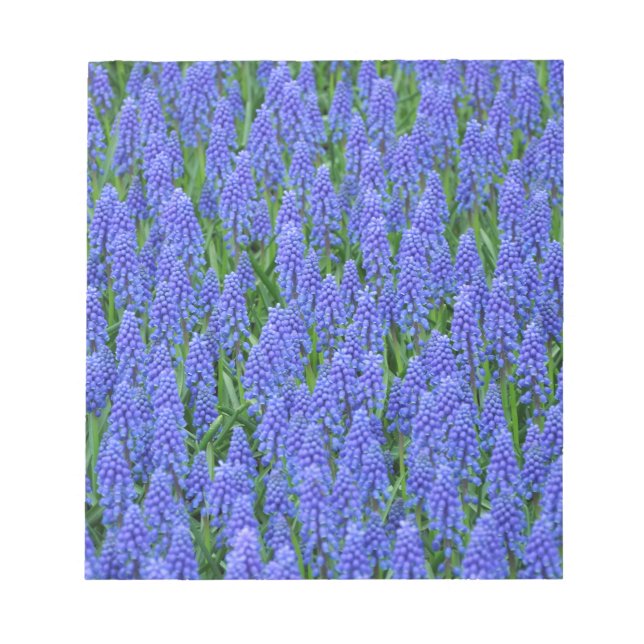 Bloc-note Pretty blue muscari flowers (Devant)