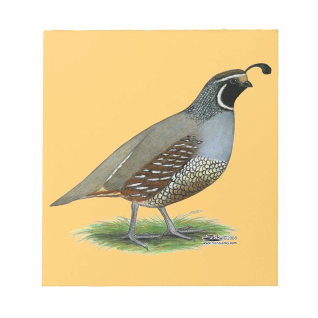 Bloc-note Quail de la Californie (Devant)