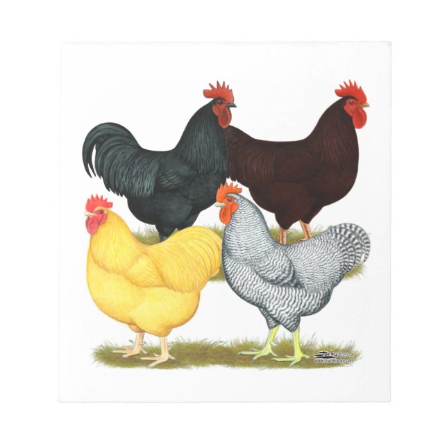 Bloc-note Quatuor de poulet à coq lourd (Devant)