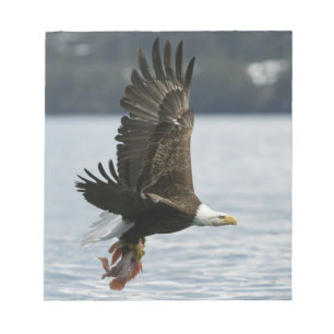 Bloc-note Récupération du poisson d'aigle à tête blanche