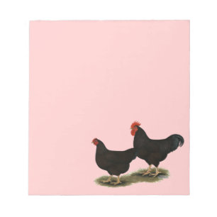Bloc-note Rhode Island Red Bantams