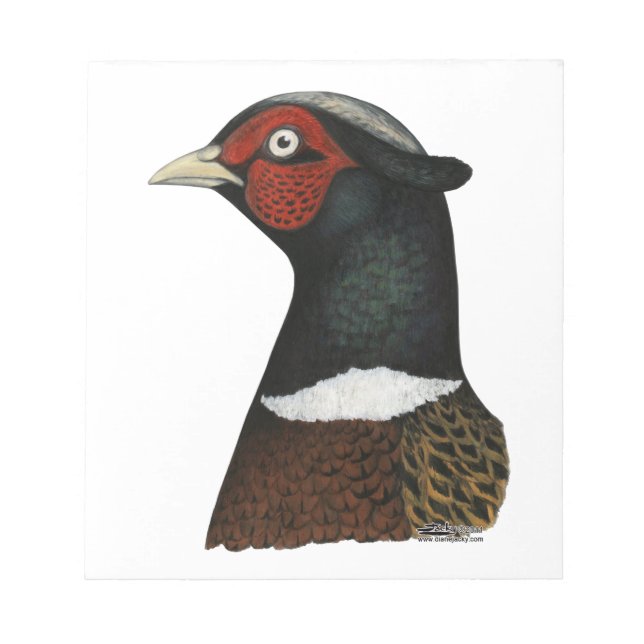 Bloc-note Ringneck Pheasant Head (Devant)