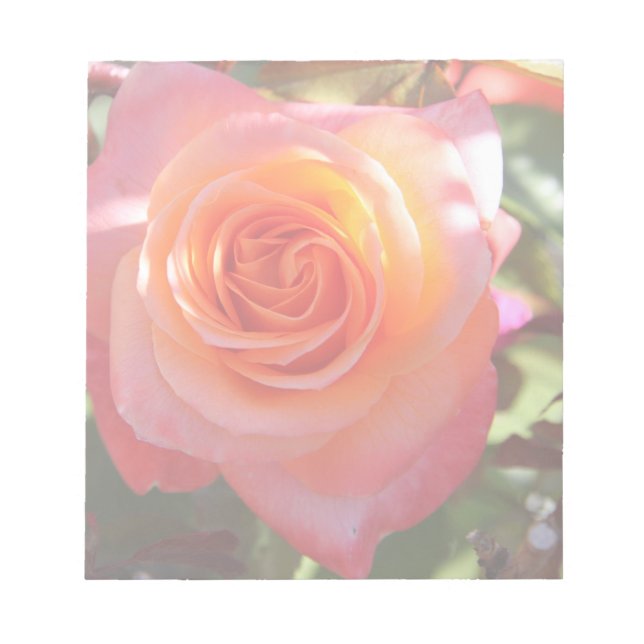 Bloc-note Rose dynamique (Devant)