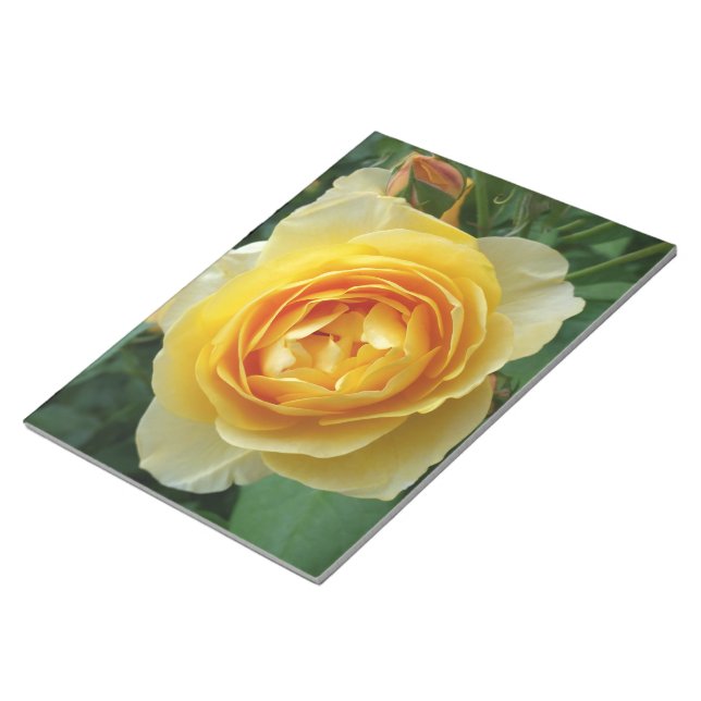 Bloc-note rose et rosebud (Incliné)