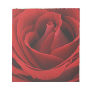 Bloc-note Rose rouge de floraison