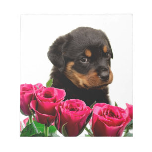 Bloc-note Rose Valentin Rottweiler Puppy