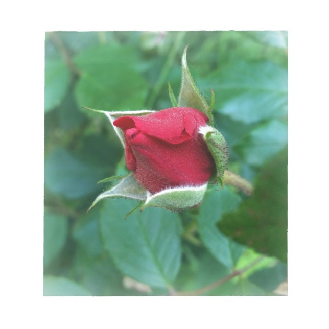 Bloc-note rosebud rouge (Devant)