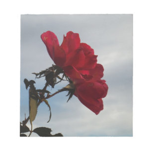Bloc-note Roses rouges contre un ciel bleu vif