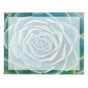 Bloc-note Rosette d'Echeveria, Jardin Secret de Marrakech