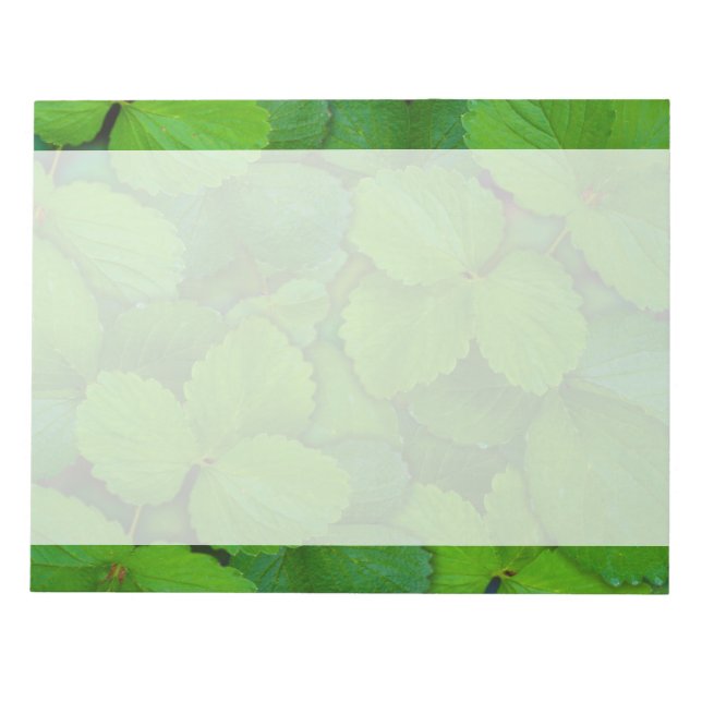 Bloc-note Saint Basil Tulsi Green Mint Feuilles (Devant)