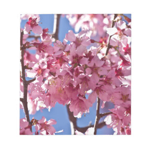 Bloc-note Sakura Cherry Blossoms Red Stars