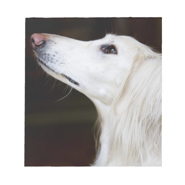 Bloc-note Saluki se lève (Devant)