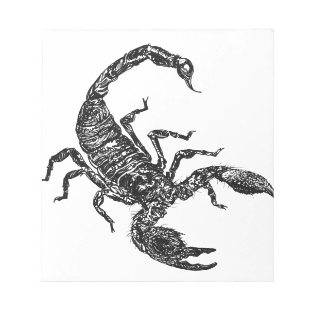 Bloc-note Scorpion (Devant)