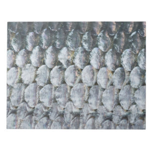 Bloc-note Shiny Salmon Scales