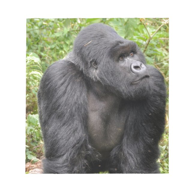 Bloc-note Singe heureux (Devant)