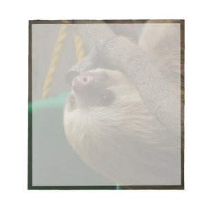 Bloc-note Sloth