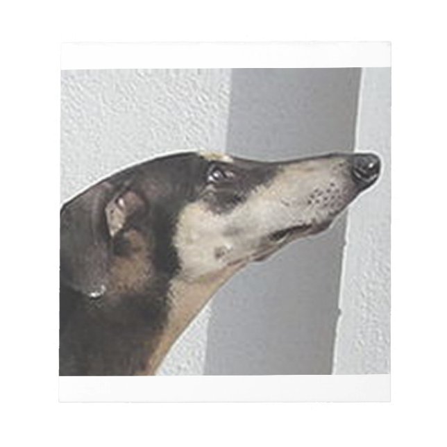 Bloc-note sloughi.png (Devant)