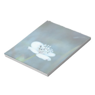 Bloc-note Souvenirs d'été