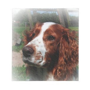 Bloc-note Springer Spaniel Chien Art