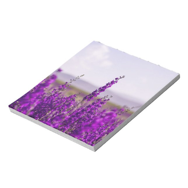 BLOC-NOTE STATIONNAIRE DE PAGE DE NOTE DE CHAMP LAVENDER (Tourné)