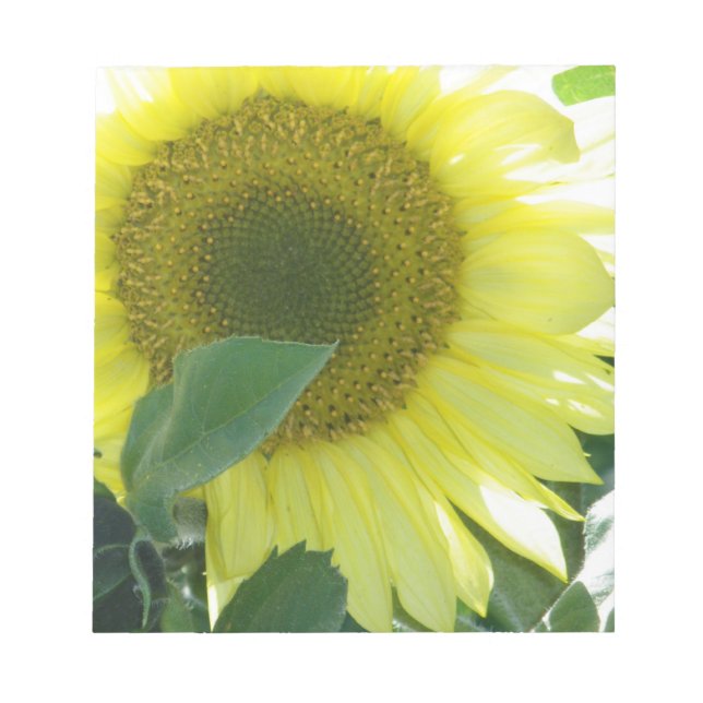 Bloc-note Sunlight (Devant)