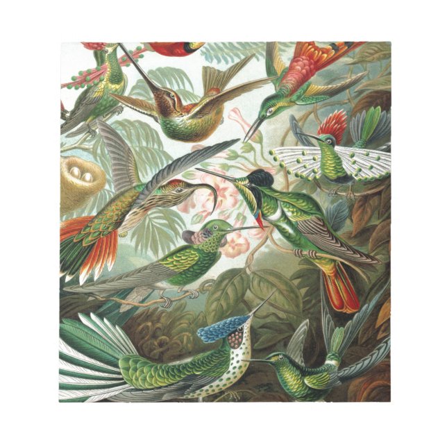 Bloc-note tableau classique de la faune des oiseaux colibris (Devant)