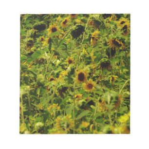 Bloc-note Terrain de tournesol