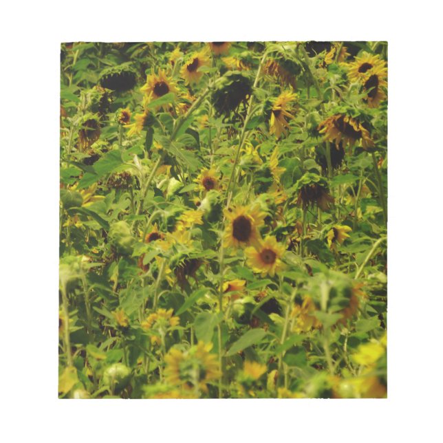 Bloc-note Terrain de tournesol (Devant)