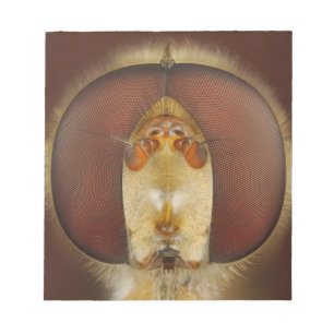Bloc-note Tête et yeux composés d'une mouche