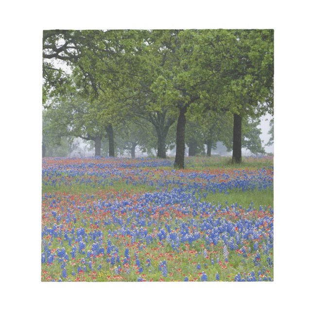 Bloc-note Texas, Texas Hill Country, Texas Paintbrush (Devant)
