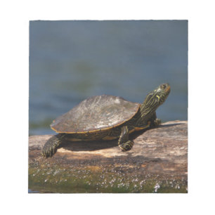 Bloc-note Tortue peinte sur un rondin