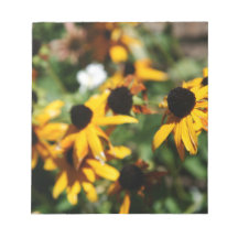 Tournesol