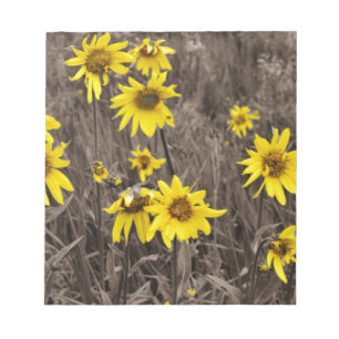 Bloc-note Tournesol dans la Montagne Rocheuse