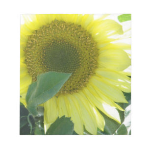Bloc-note Tournesol de lumière du soleil