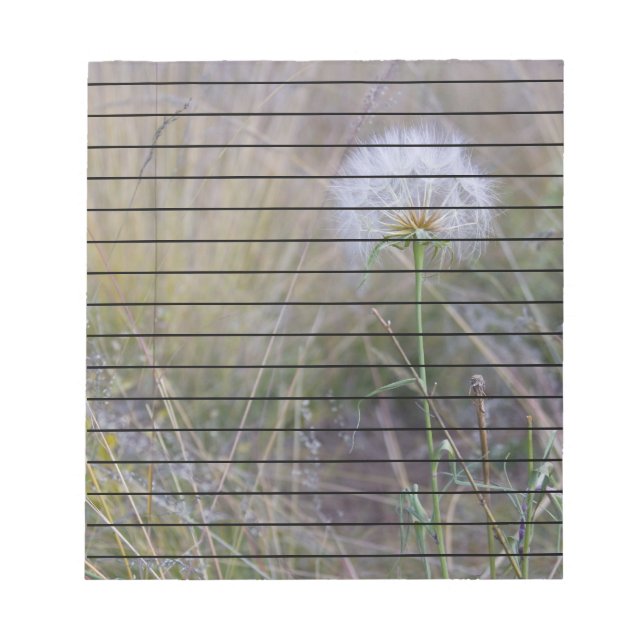 Bloc-note Toutes les petites choses (Devant)