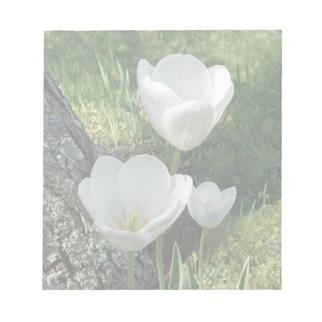 Bloc-note Trio de fleurs de tulipes blanches (Devant)