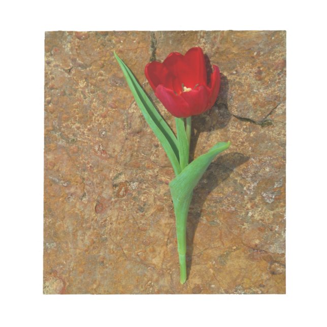 Bloc-note Tulipe jaune et rouge (Devant)